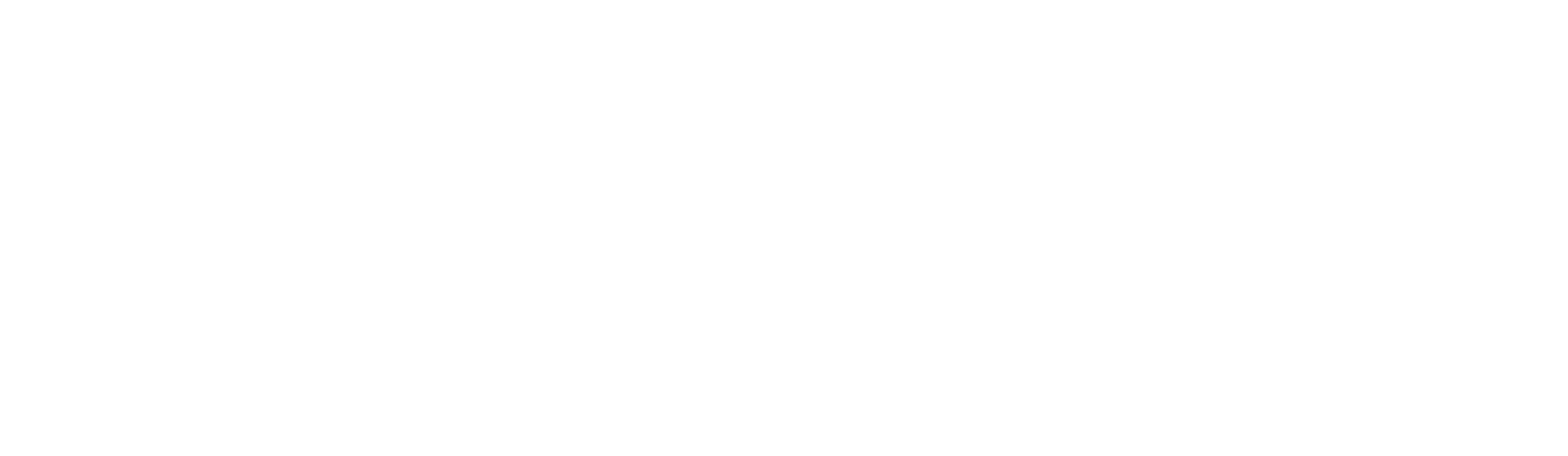 SPRINGBOK FITNESS CARE INC